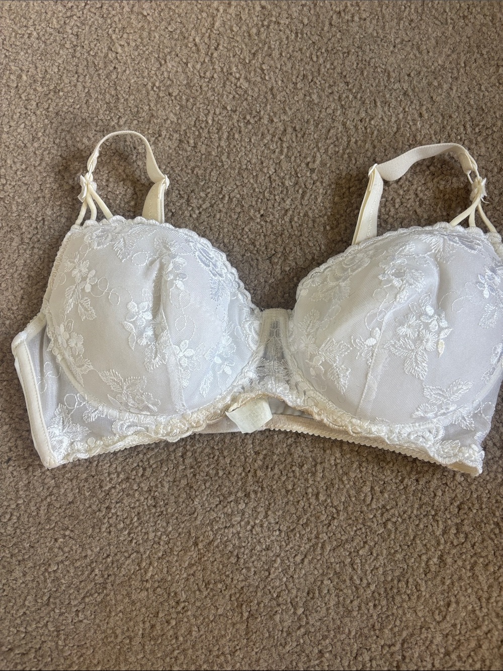 Fredericks of Hollywood Water/Oil Bra